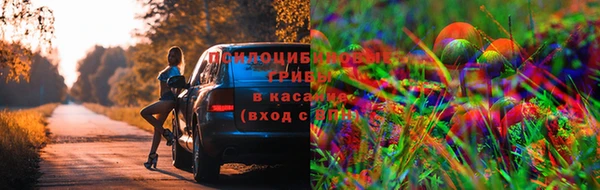 круглые Арсеньев